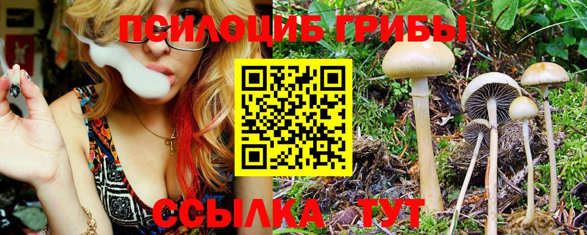 Галлюциногенные грибы Magic Shrooms Саратов